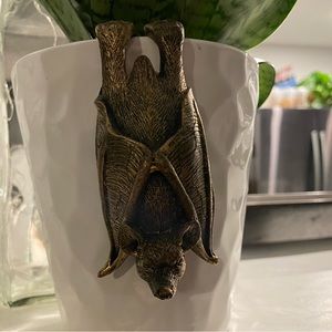 Bat hanging for plants